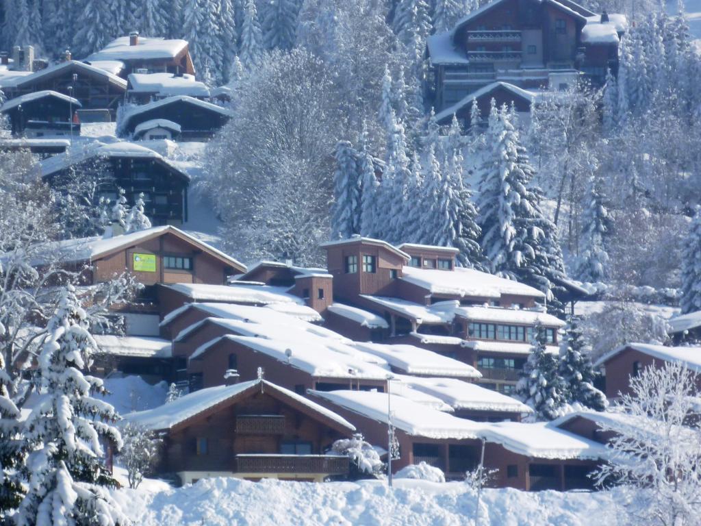 Village De Vacances Les Flocons Verts لي كارو داراش المظهر الخارجي الصورة
